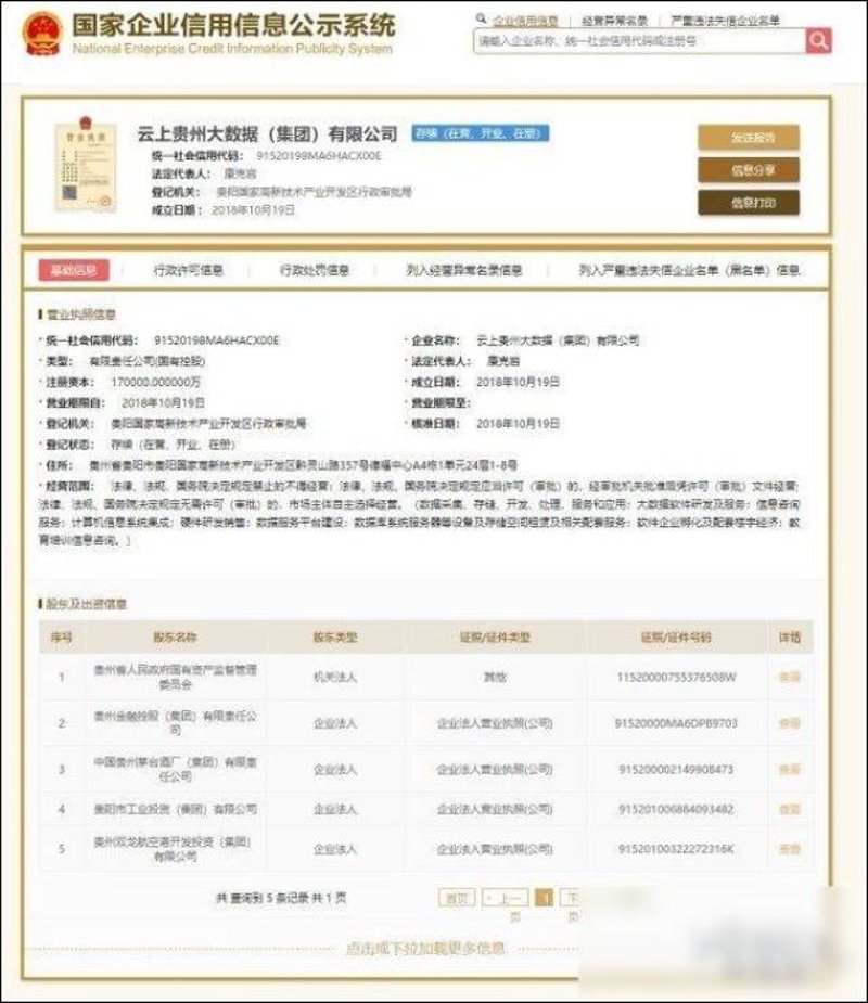 数字化转型的先驱：企业信息化系统定制
