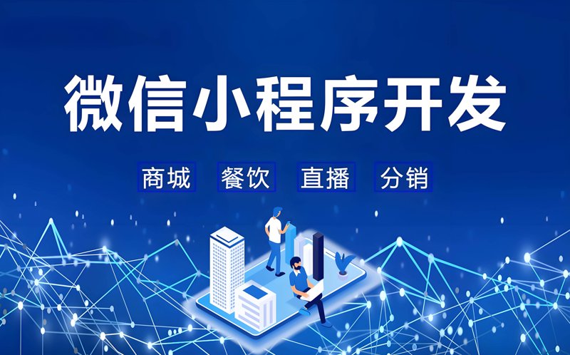 选择管理软件开发方案的指南